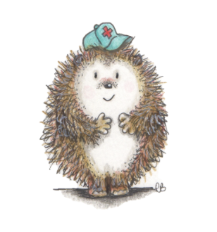 Hodmedods - Helping Norfolk's Hedgehogs